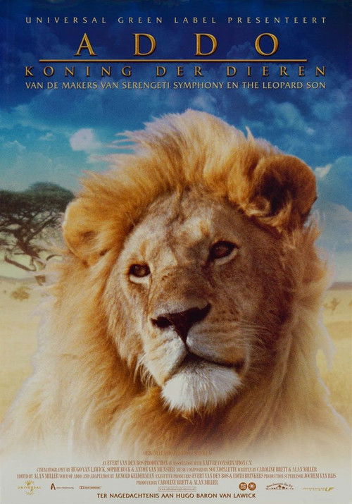 Addo - The African King (2002) poster
