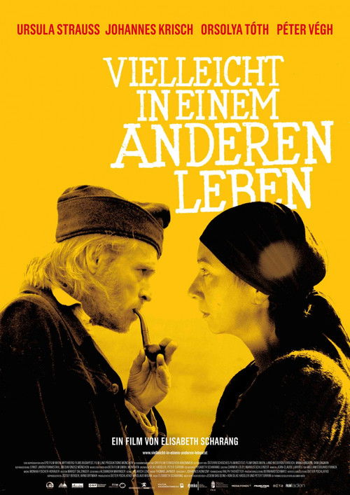 Vielleicht in einem anderen Leben (2011) poster