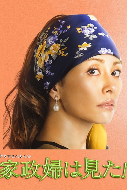 The Housekeeper Saw! (2015) poster