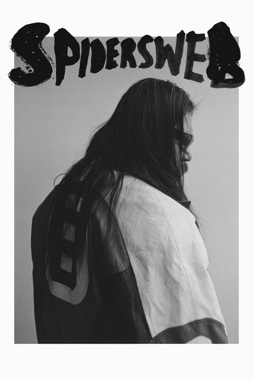 Spiders Web (2024) poster