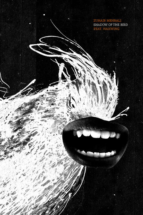 Shadow of the Bird (2020) poster