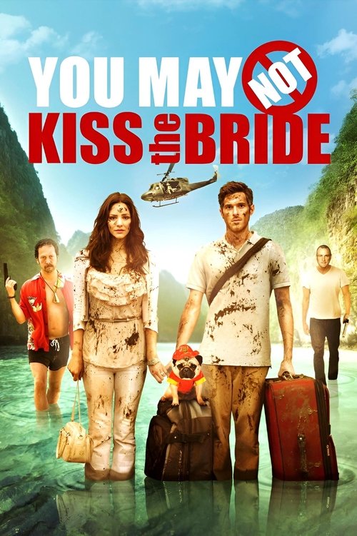 You May Not Kiss the Bride (2011) poster