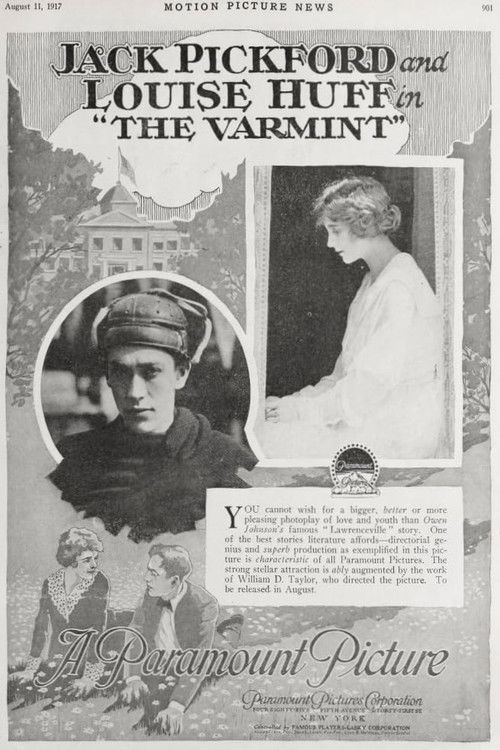 The Varmint (1917) poster