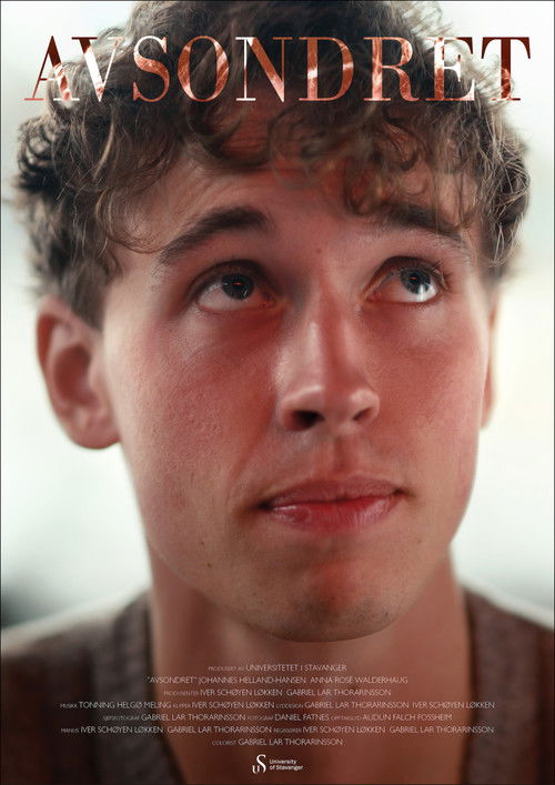 Secluded (2025) poster