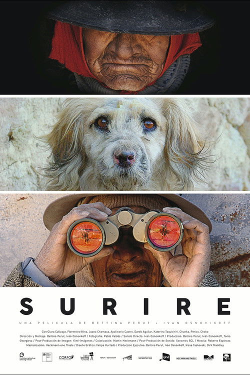 Surire (2015) poster