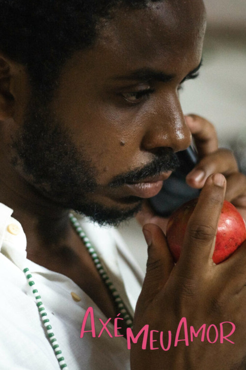 Axé meu amor (2023) poster
