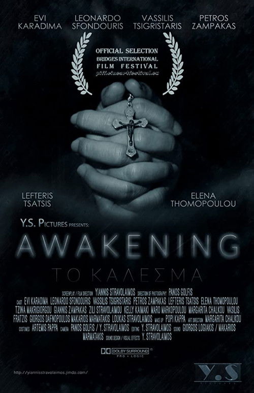 Awakening (2016) poster