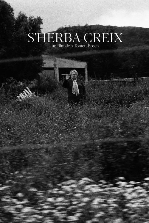 S'Herba Creix (2025) poster