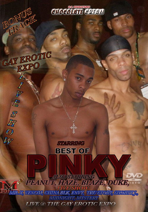 Best of Pinky (2013) poster