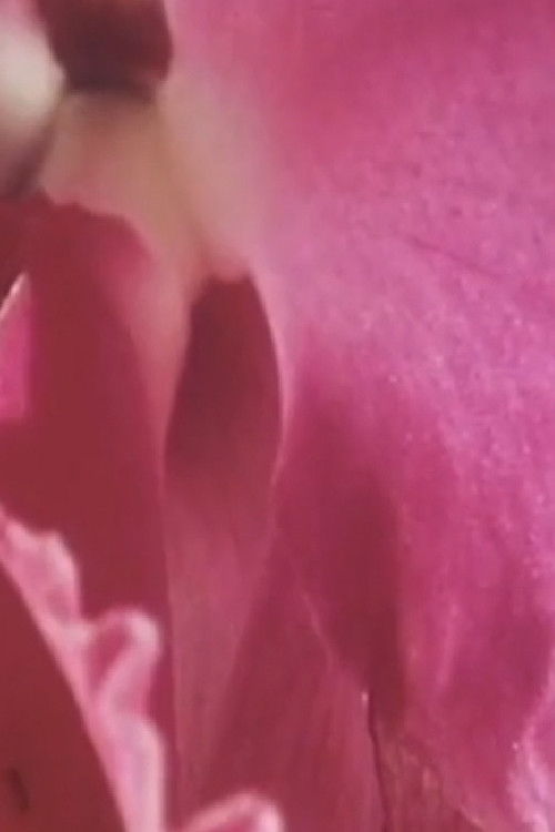 Something Within Me (1975) poster