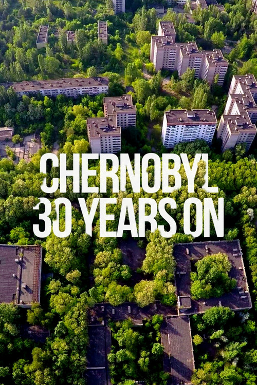 Chernobyl 30 Years On: Nuclear Heritage (2015) poster