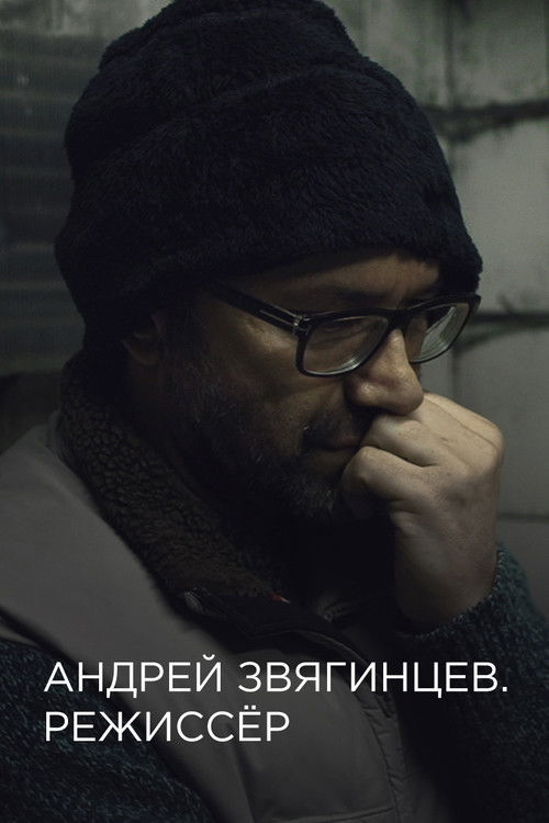 Andrey Zvyagintsev. The Director (2017) poster