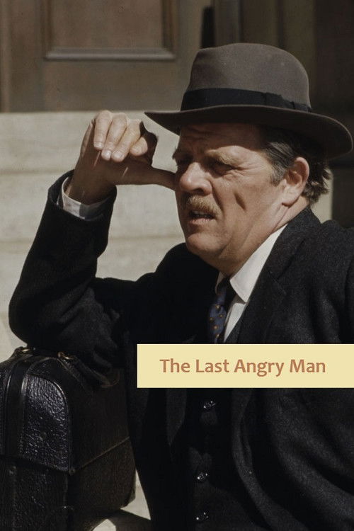 The Last Angry Man (1974) poster