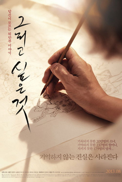 The Big Picture (2013) poster