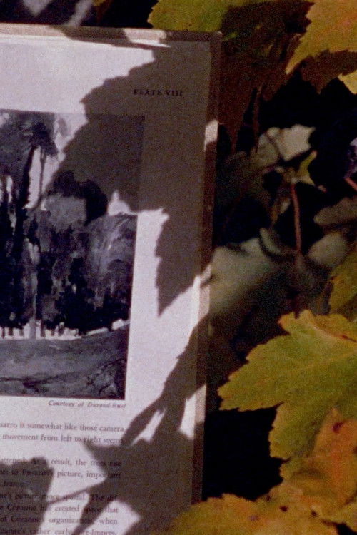 Four Shadows (1978) poster