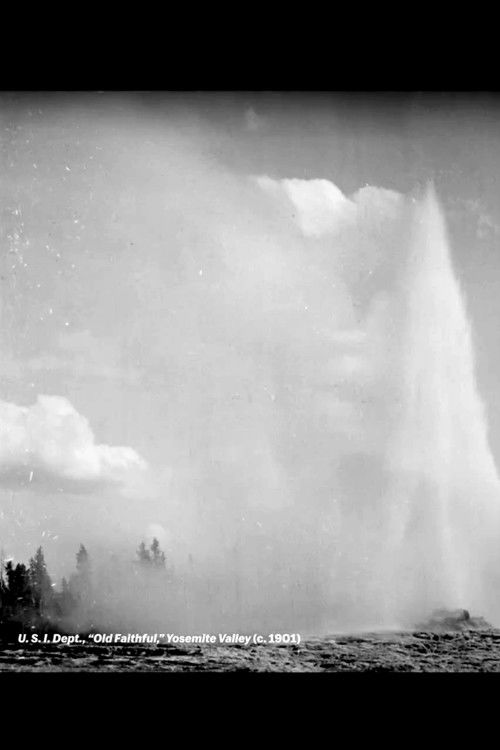 U.S.I. Dept., "Old Faithful," Yosemite Valley (1901) poster