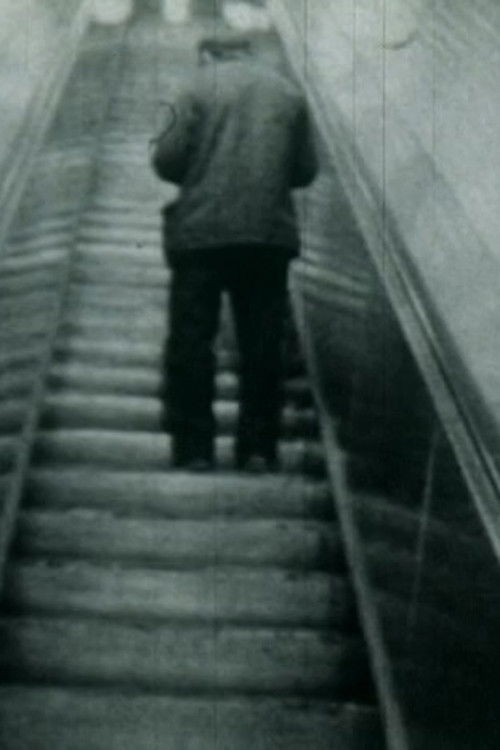 Passage du thermomètre (1983) poster