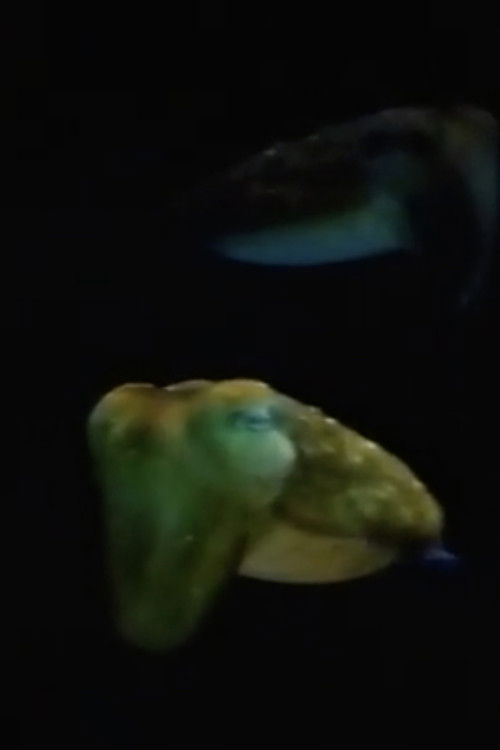 Aliens From Inner Space (1983) poster