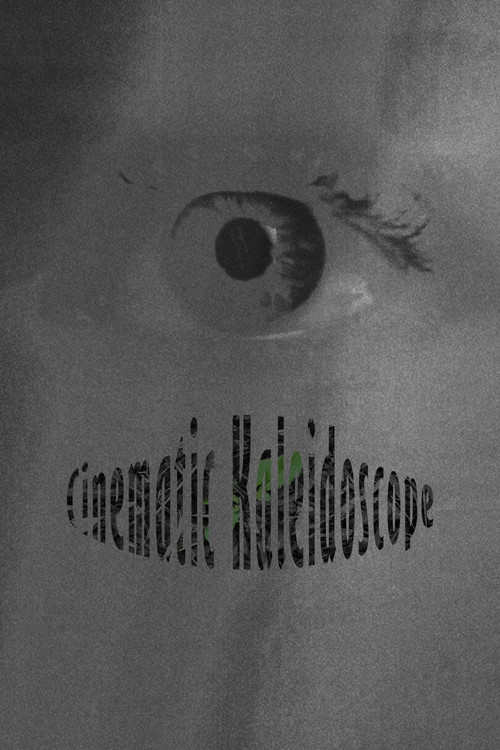 Cinematic Kaleidoscope (2022) poster