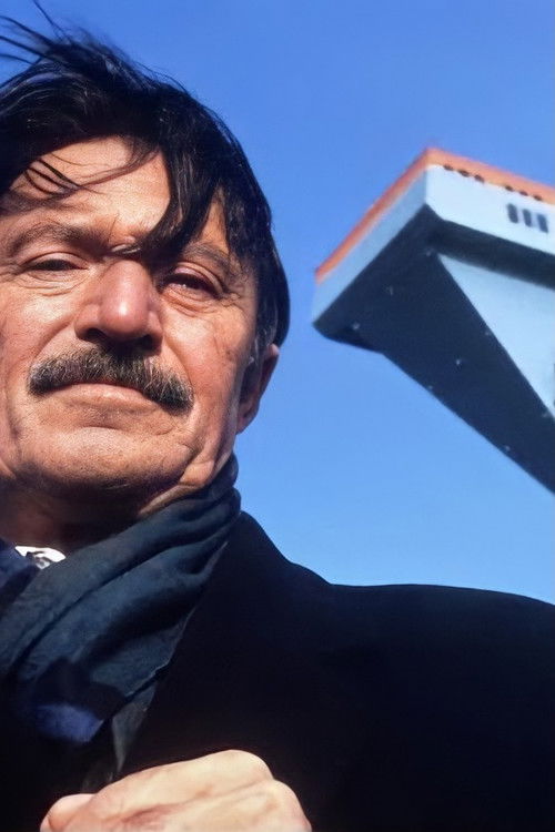 My Father the Guest Worker (1995) poster