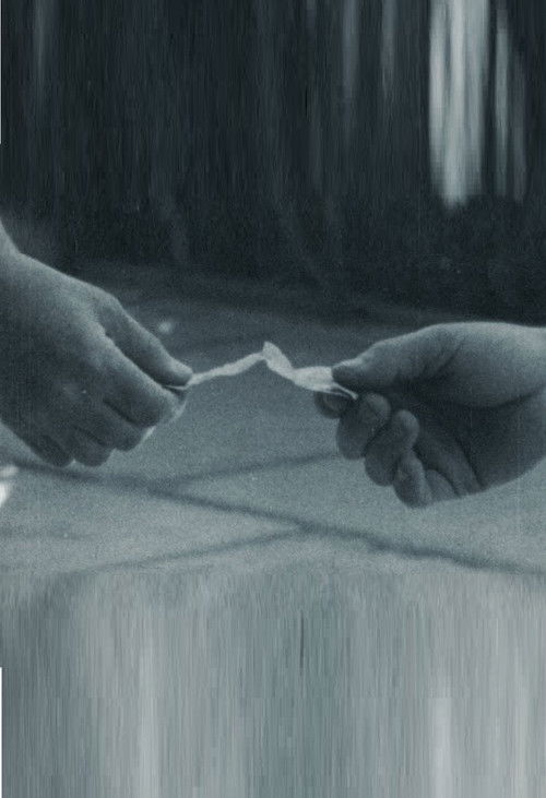 The Porter (1971) poster