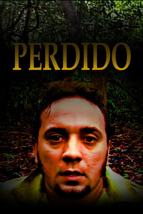 Perdido (2010) poster