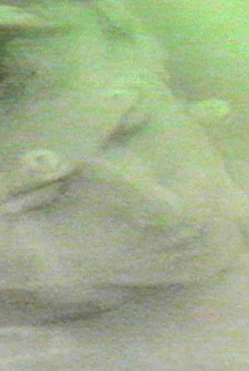 finally destroy us (1991) poster