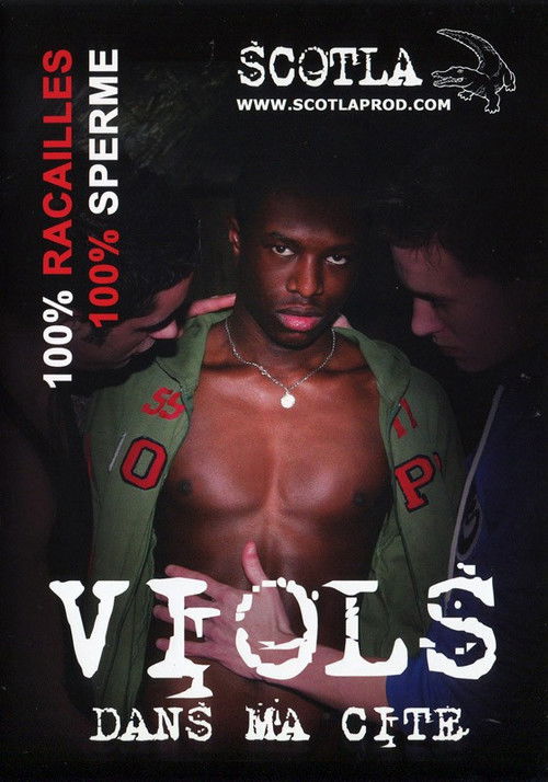 Viols dans ma cité (2014) poster