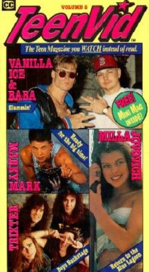 Teen Vid II (1991) poster