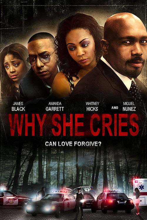 Why She Cries (2015) poster