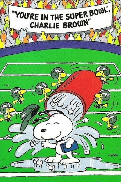 You're in the Super Bowl, Charlie Brown! (1994) poster