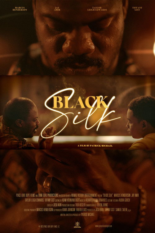 Black Silk (2023) poster