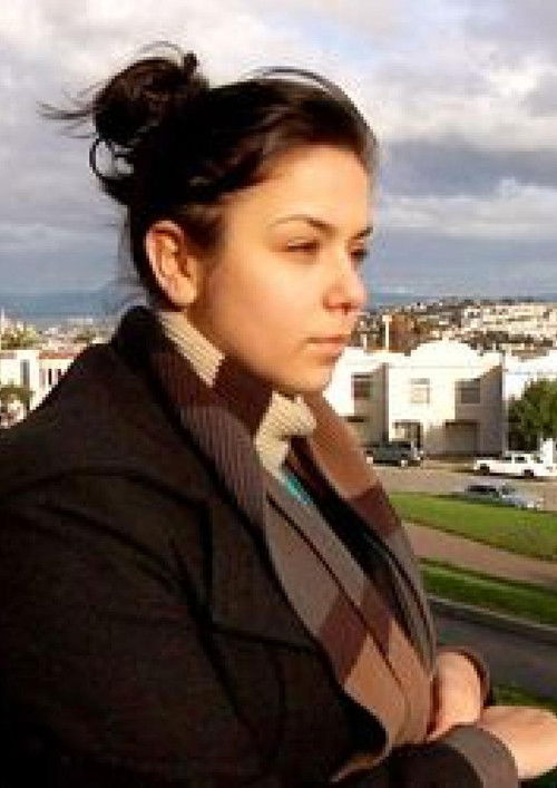 Without Country (2010) poster