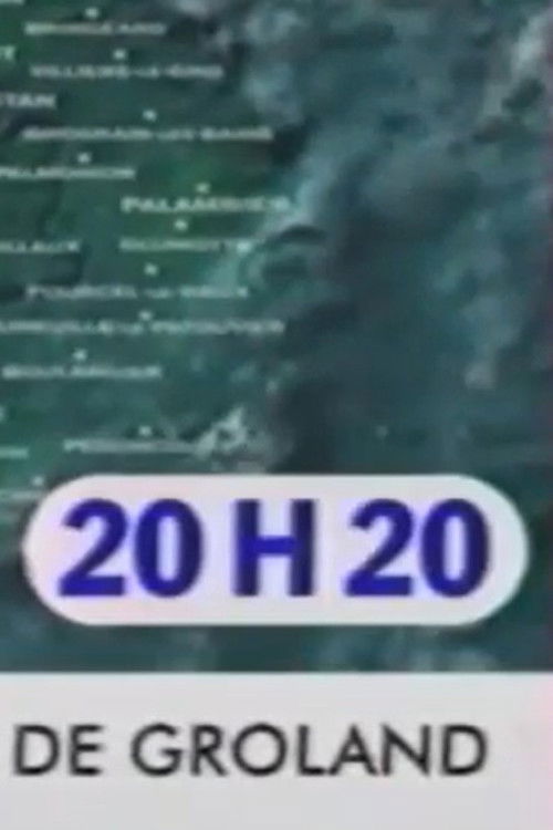 20 H 20 (2001) poster