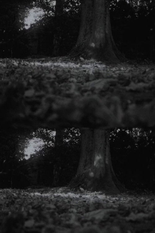 Autumn Leaves (2025) poster