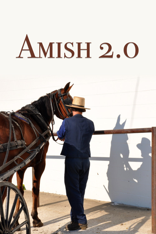 Amish 2.0 (2015) poster