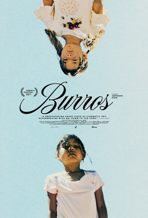 Burros (2021) poster