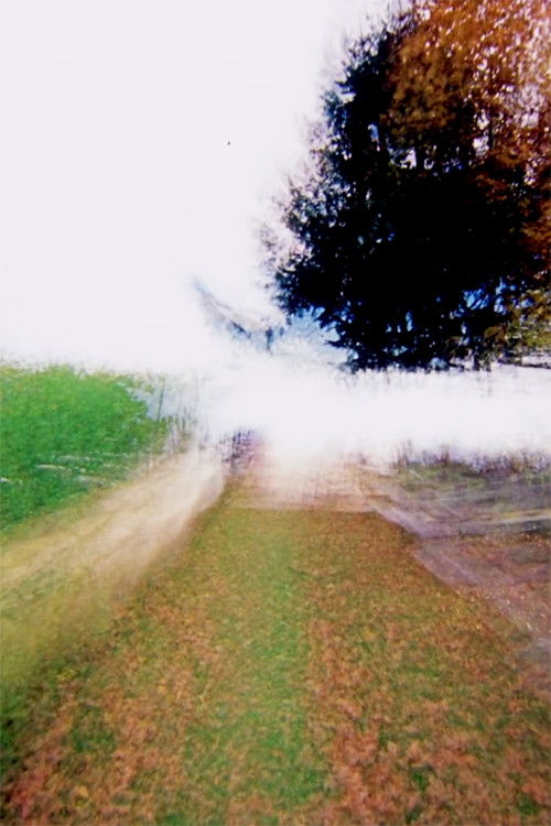 Brouillard #15 (2014) poster