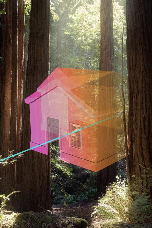 A New Nature (2021) poster