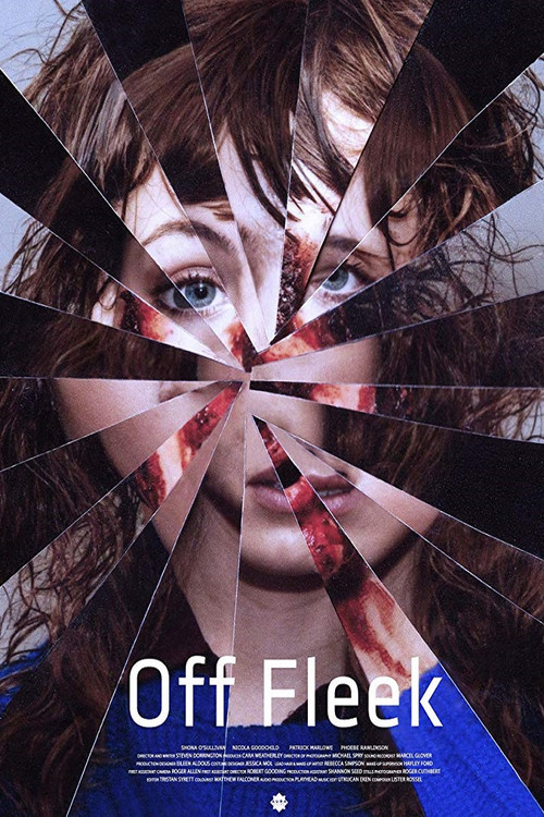Off Fleek (2019) poster