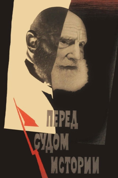 Facing the Judgement of History (1965) poster