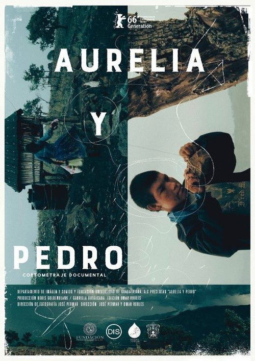 Aurelia y Pedro (2016) poster