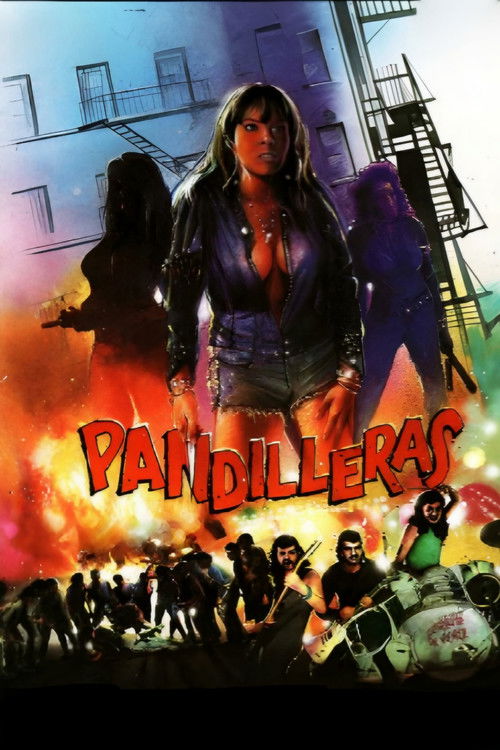 Pandilleras (1994) poster
