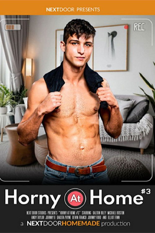 Horny at Home 3 (2023) poster