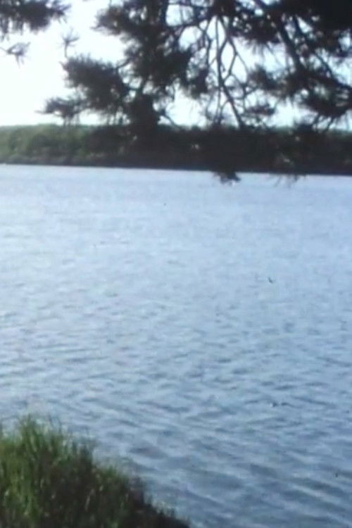 Autour de Boutavant (1983) poster