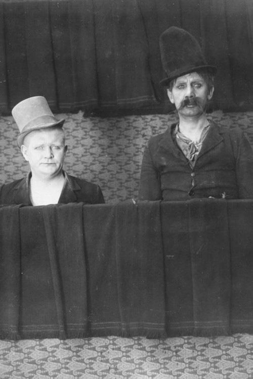 Zwei Vagabunden im Prater (1925) poster