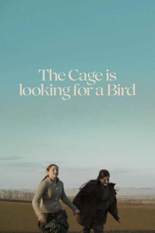 The Cage is Looking for a Bird (2023) poster