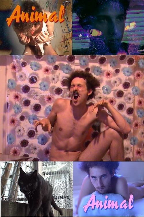 Animal (2009) poster