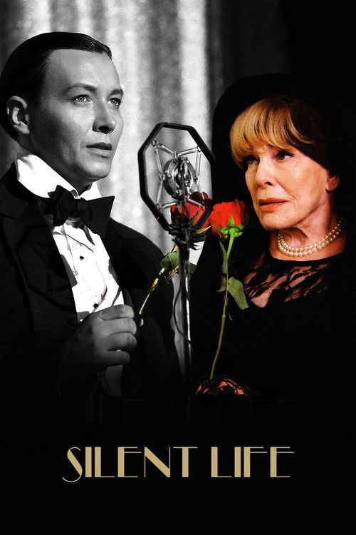 Silent Life: The Story of the Lady in Black (2023) poster