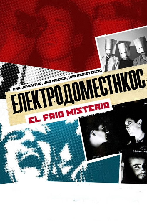 Electrodomésticos: El frío misterio (2010) poster
